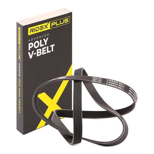 RIDEX PLUS Serpentine belt Article number: 305P0082P cheaply