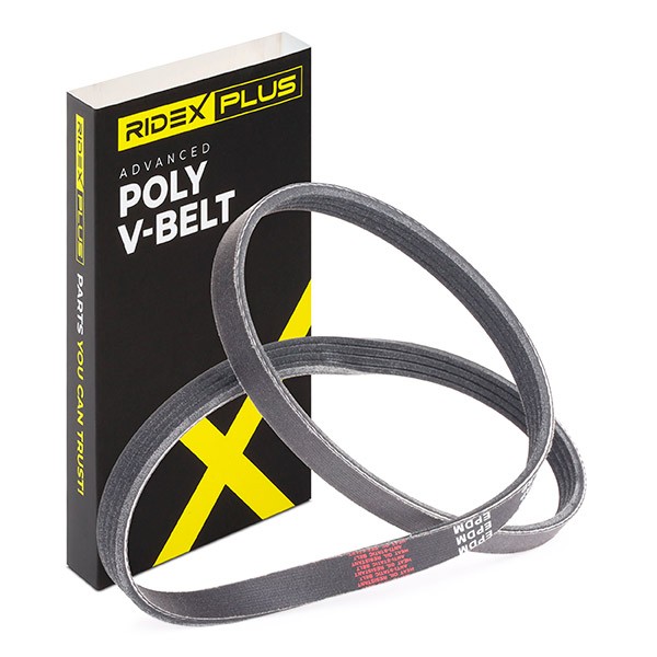 RIDEX PLUS Serpentine belt Article number: 305P0293P cheaply