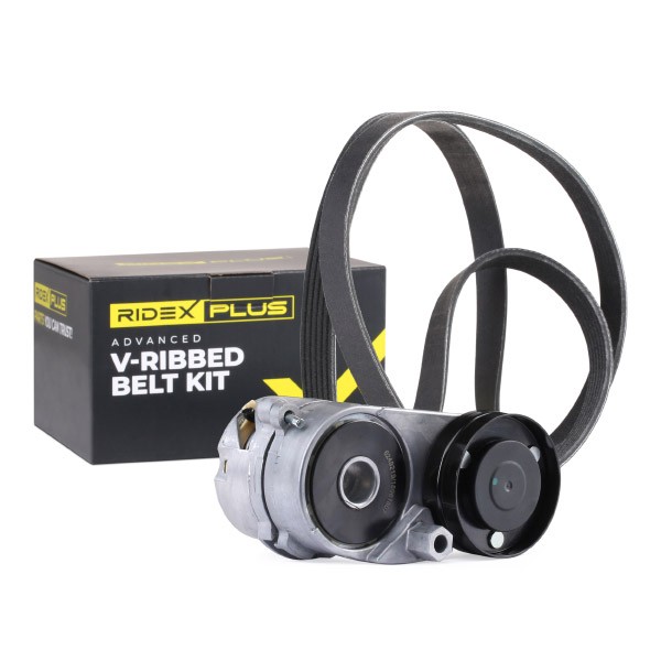 RIDEX PLUS V-Ribbed Belt Set Article number: 542R0181P cheaply