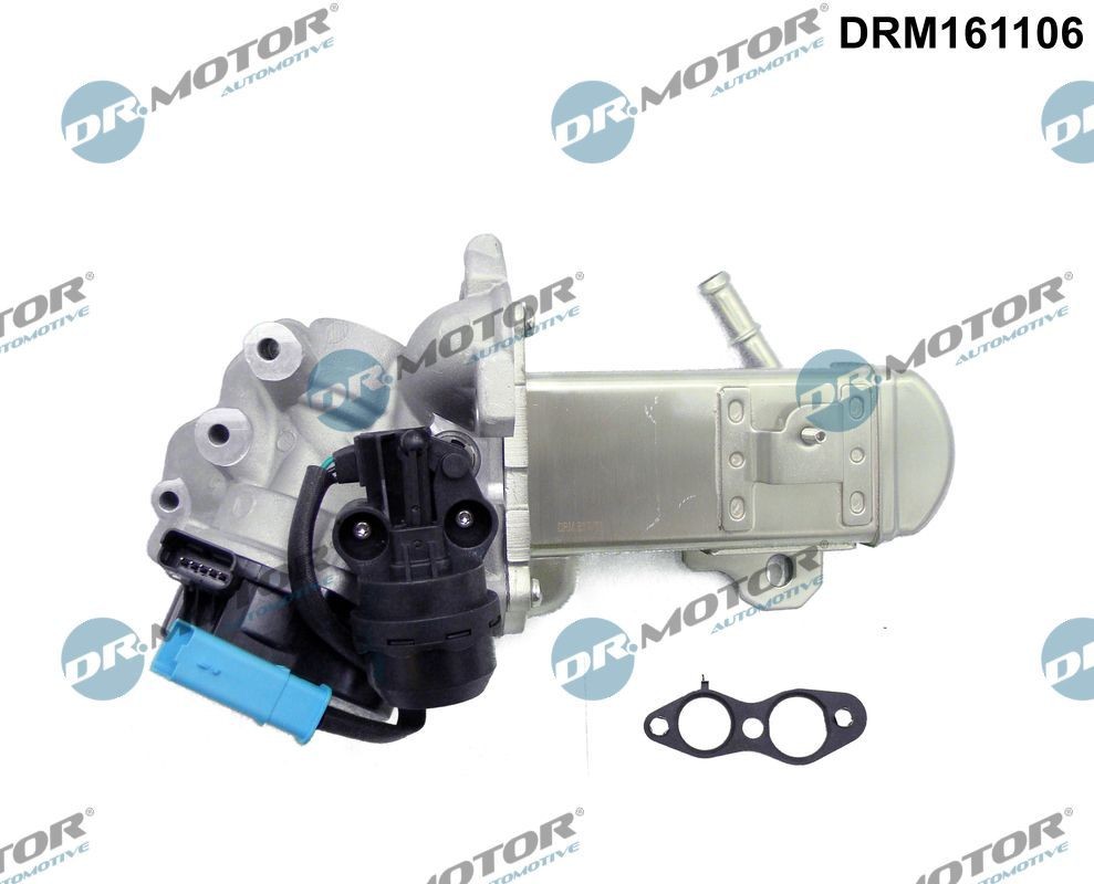 DR.MOTOR AUTOMOTIVE DRM161106 EGR aušintuvas C-MAX 1.6 TDCi 95 AG dyzelinas 2019