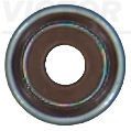 REINZ Valve stem seal Article number: 70-21170-00 cheaply