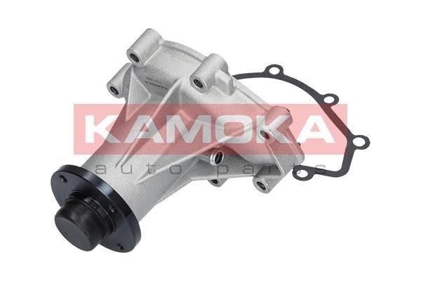 KAMOKA Water pump Article number: T0289 cheaply