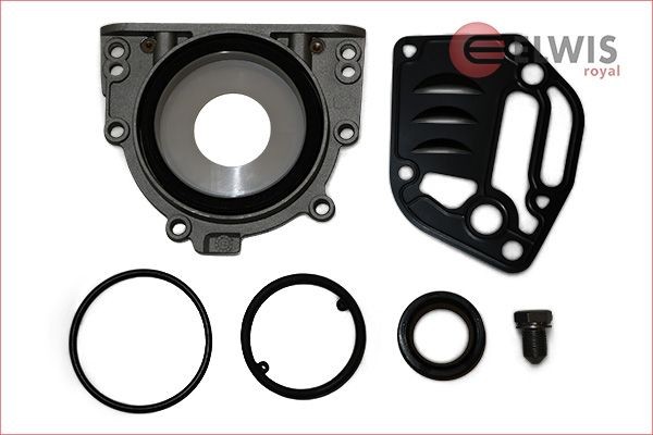 ELWIS ROYAL Crankcase gasket set Article number: 9556052 cheaply