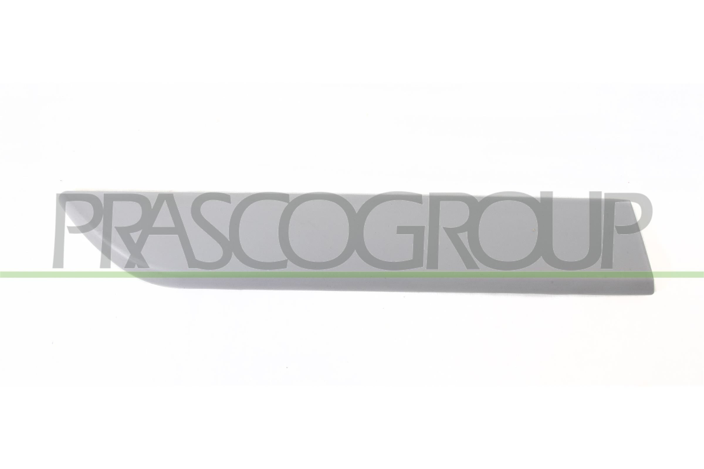 PRASCO Trim / Protective Strip, mudguard Article number: OP0341483 cheaply