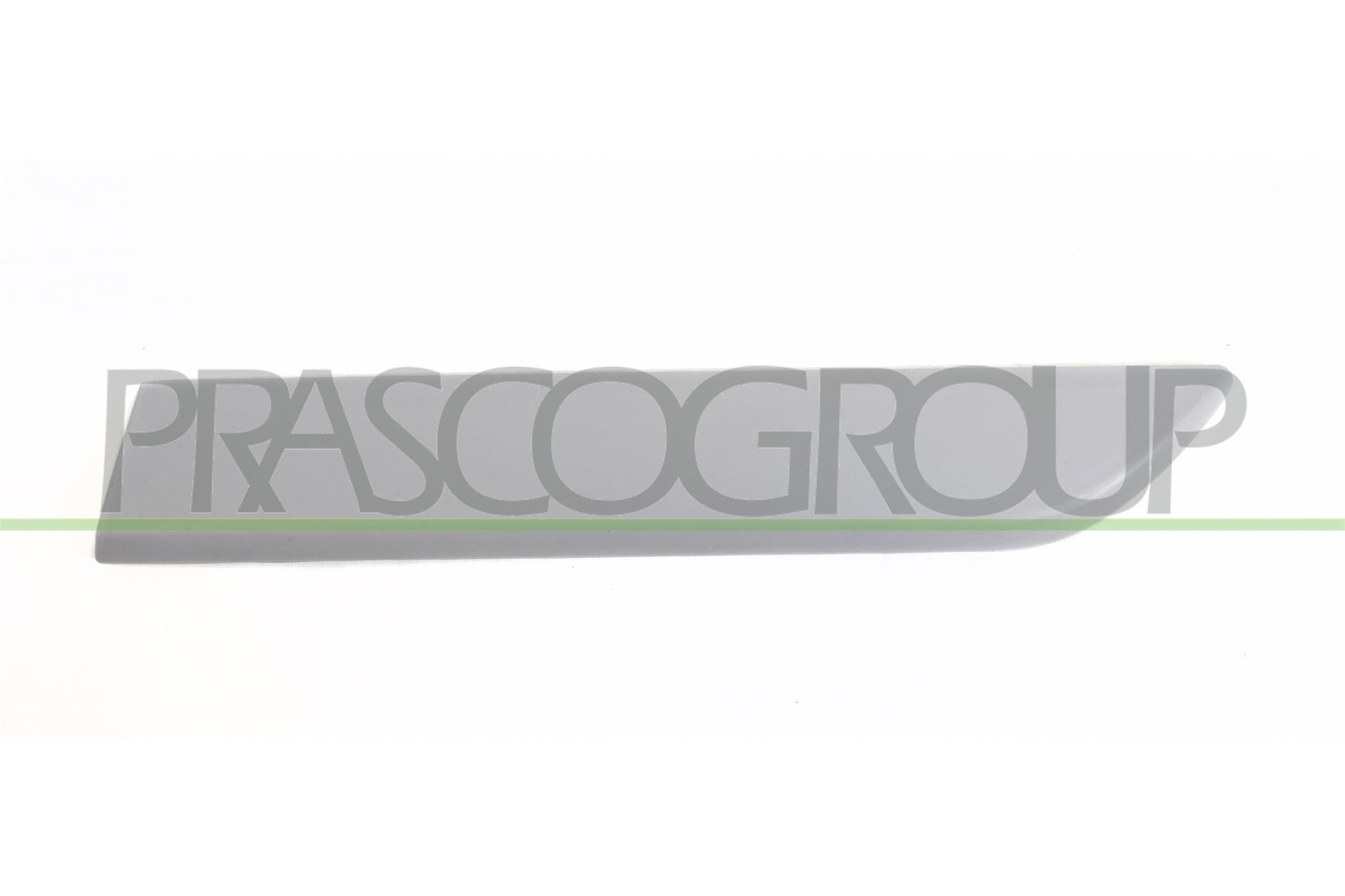 PRASCO Trim / Protective Strip, mudguard Article number: OP0341484 cheaply