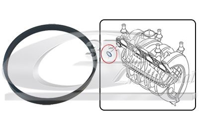 3RG Inlet manifold gasket Article number: 36705 cheaply