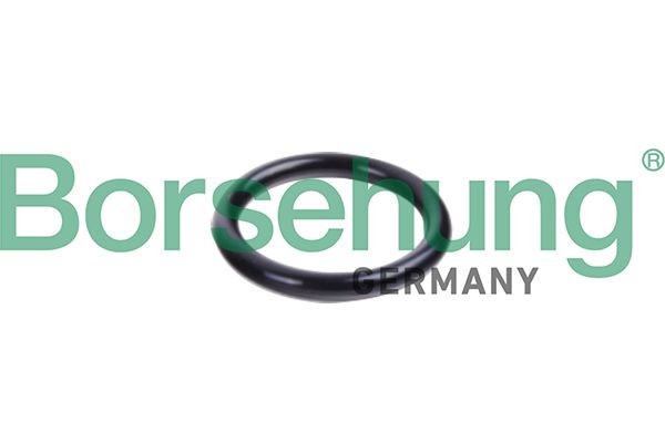 Borsehung Seal Ring, coolant tube Article number: B10632 cheaply