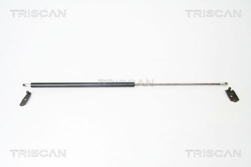 TRISCAN Tailgate strut Article number: 8710 13253 cheaply