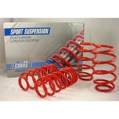 Cobra Suspension Suspension kit, coil springs Article number: 00.2667 cheaply