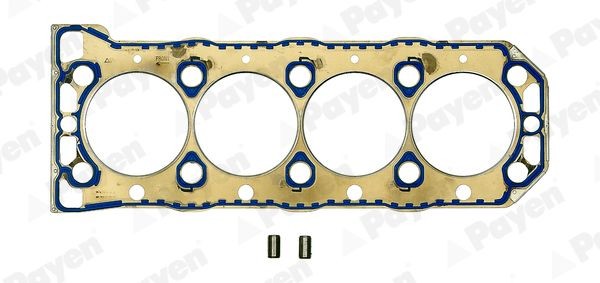PAYEN Gasket, cylinder head Article number: BW750 cheaply