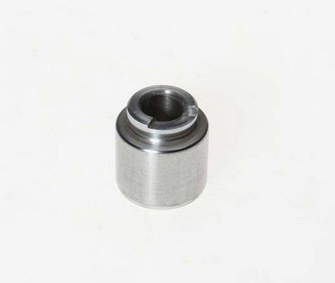 BUDWEG CALIPER Kolvid, pidurisadul Artikli number: 232701 soodsalt