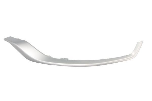 BLIC 5703-05-8187921P Bumper moulding RAV 4 2.0 VVTi (MXAA52) 173 PS Petrol