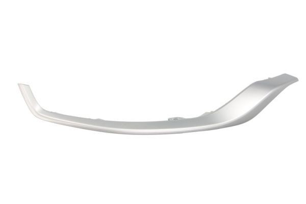BLIC 5703-05-8187922P Bumper moulding RAV 4 2.0 VVTi (MXAA52) 173 PS Petrol