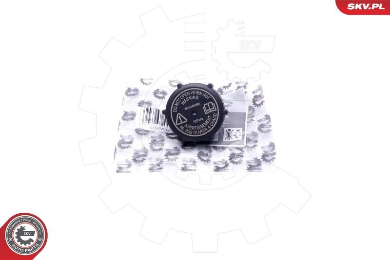 ESEN SKV Expansion tank cap Article number: 61SKV019 cheaply
