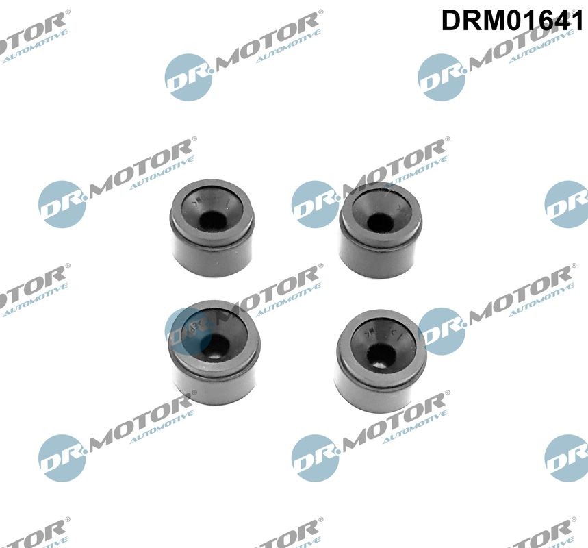 DR.MOTOR AUTOMOTIVE DRM01641 Puhver, mootorikate C-MAX 1.8 Flexifuel 125 HP Bensiin/etanool 2010
