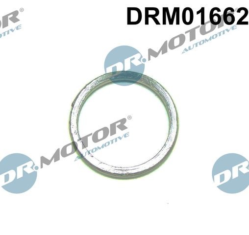 DR.MOTOR AUTOMOTIVE Turbo gasket Article number: DRM01662 cheaply