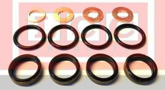LCC Seal Kit, injector nozzle Article number: TR1331 cheaply