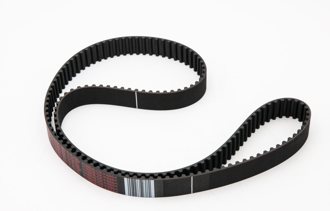 IVECO Timing Belt Article number: 500055908 cheaply