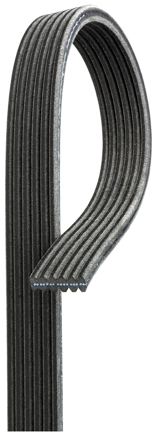 GATES Serpentine belt Article number: 6DPK2065 cheaply