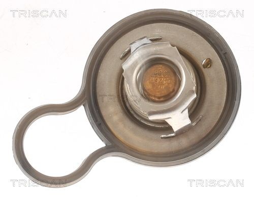 TRISCAN Thermostat Article number: 8620 55484 cheaply