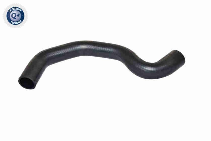 VAICO Radiator hose Article number: V42-1026 cheaply