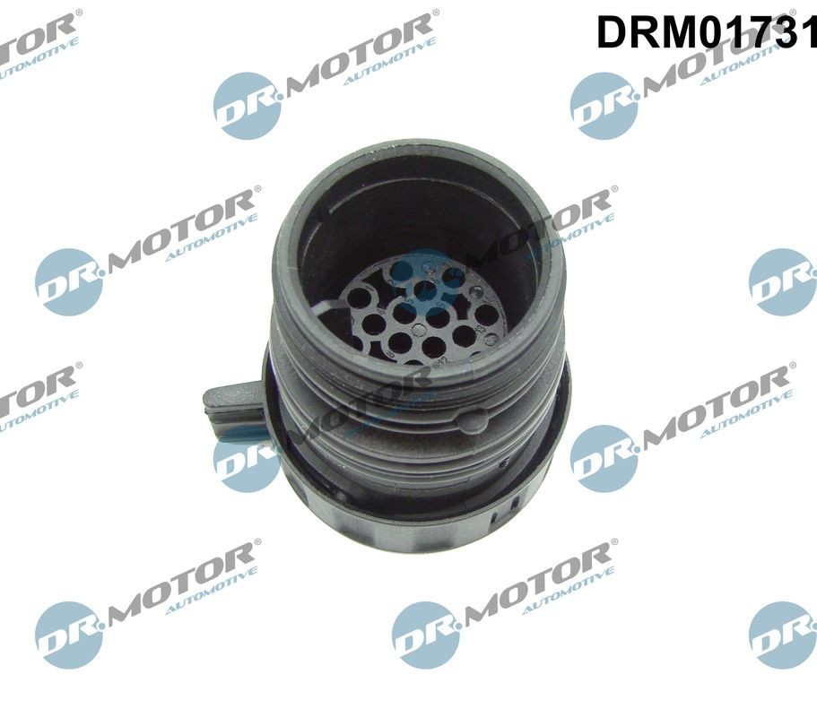 DR.MOTOR AUTOMOTIVE Plug Housing, automatic transmission control unit Article number: DRM01731 cheaply