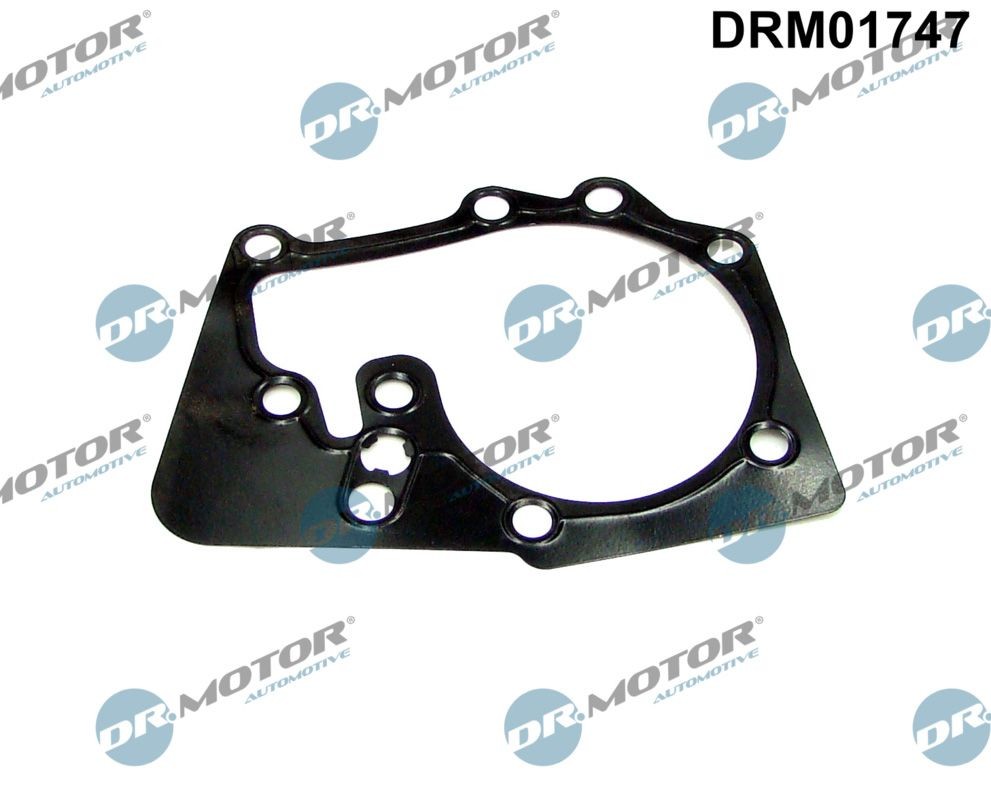 DR.MOTOR AUTOMOTIVE Gasket, water pump Article number: DRM01747 cheaply