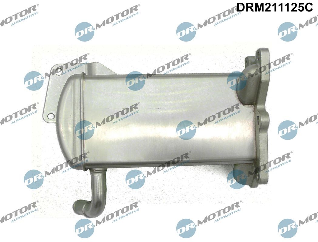 DR.MOTOR AUTOMOTIVE DRM211125C EGR køler AMAROK 2.0 TDI 4motion 140 HK Diesel 2022