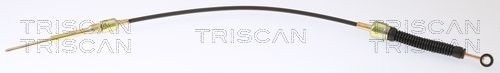 TRISCAN 8140 29761 Cable, automatic transmission TRANSPORTER 2.4 D Syncro 78 PS Diesel 2003