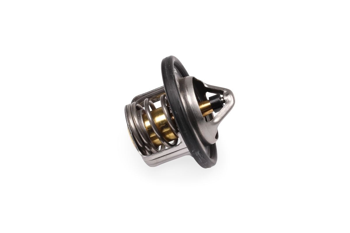 HEPU Thermostat Article number: TM1279 cheaply