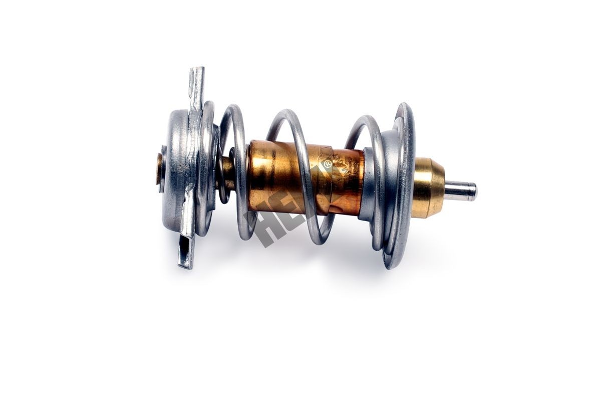 HEPU Thermostat Article number: TM1299 cheaply