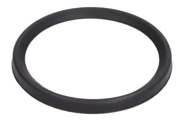 THERMOTEC Blīvgredzens, Gaisa pūtes caurule raksta numurs: DCC079TT lēti
