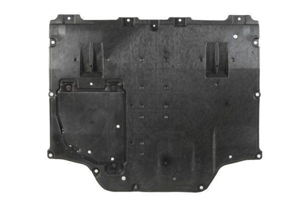 BLIC Scut motor număr articol: 6601-02-8197865P ieftin