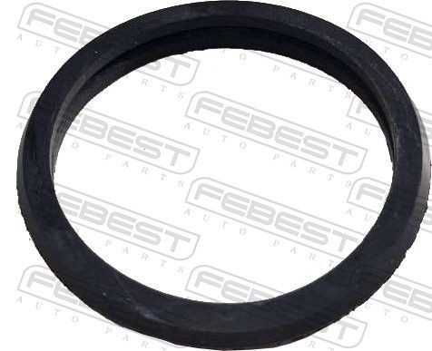 FEBEST Gasket, coolant flange Article number: RINGWH-013 cheaply