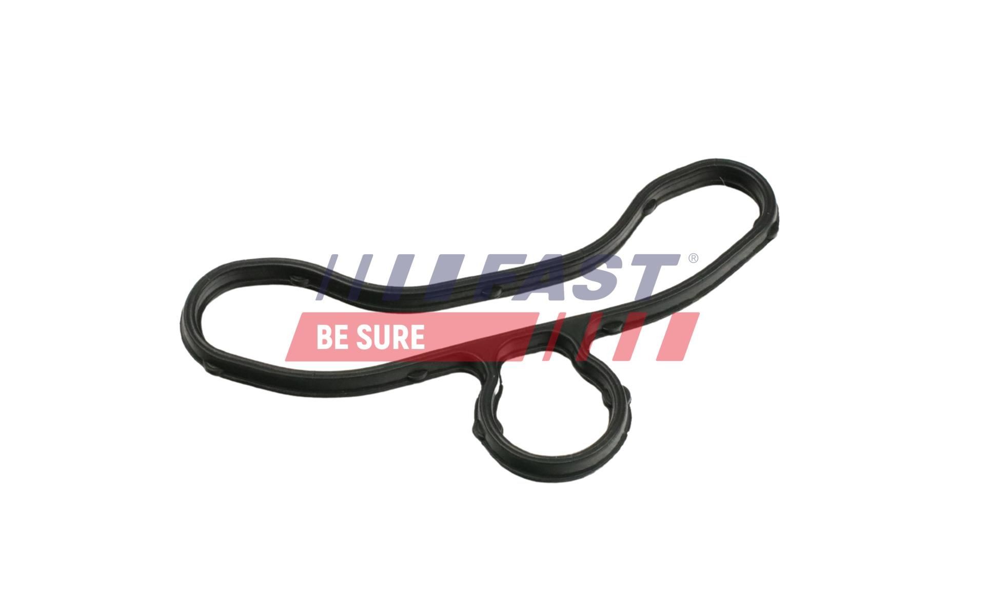 FAST FT41705 Tensioner Guide, timing chain TRANSIT 2.4 DI RWD (F_B_, F_C_, F_A_) 120 PS Diesel 2006