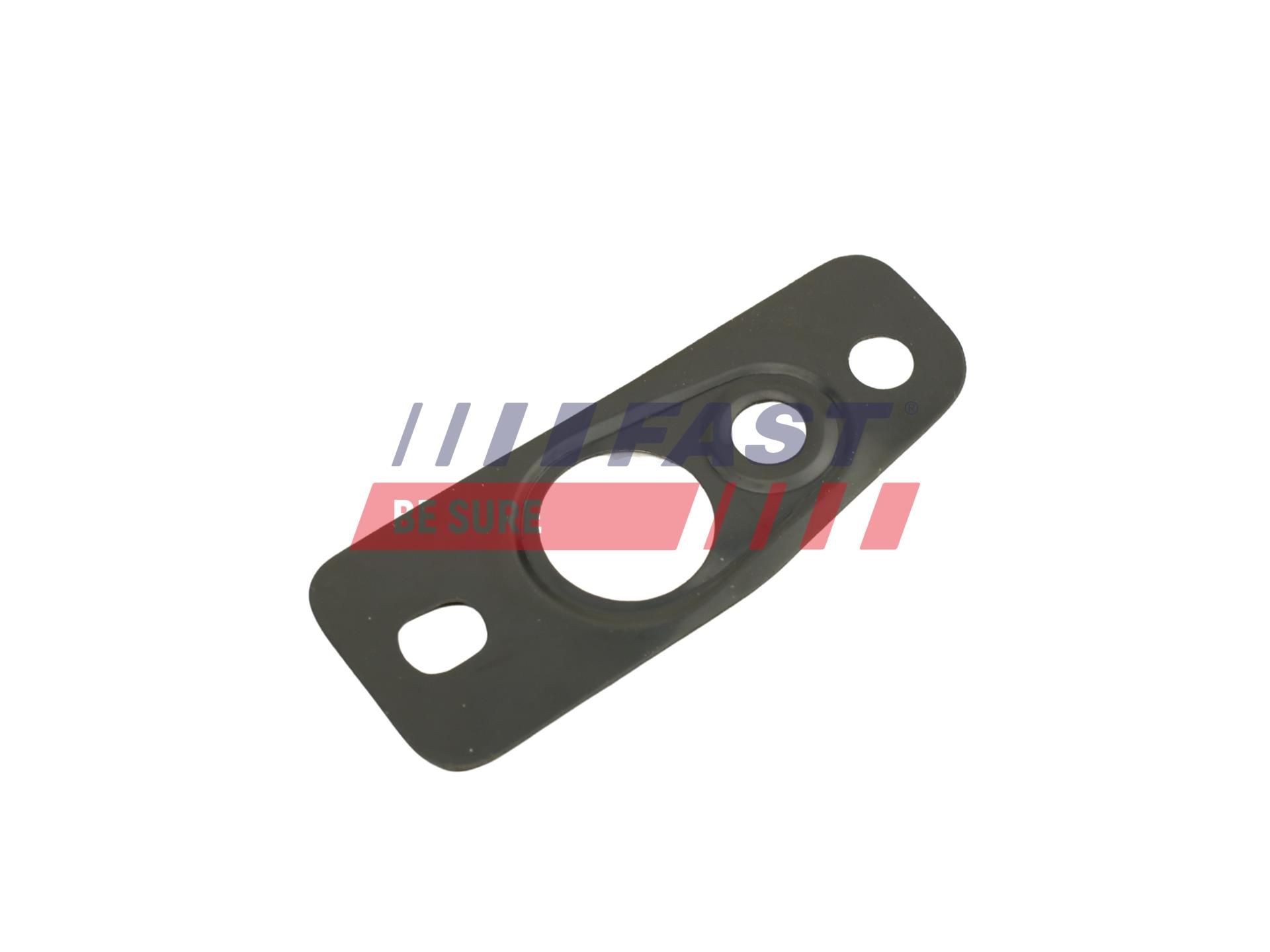 FAST Seal Ring, oil outlet (charger) Article number: FT48807 cheaply