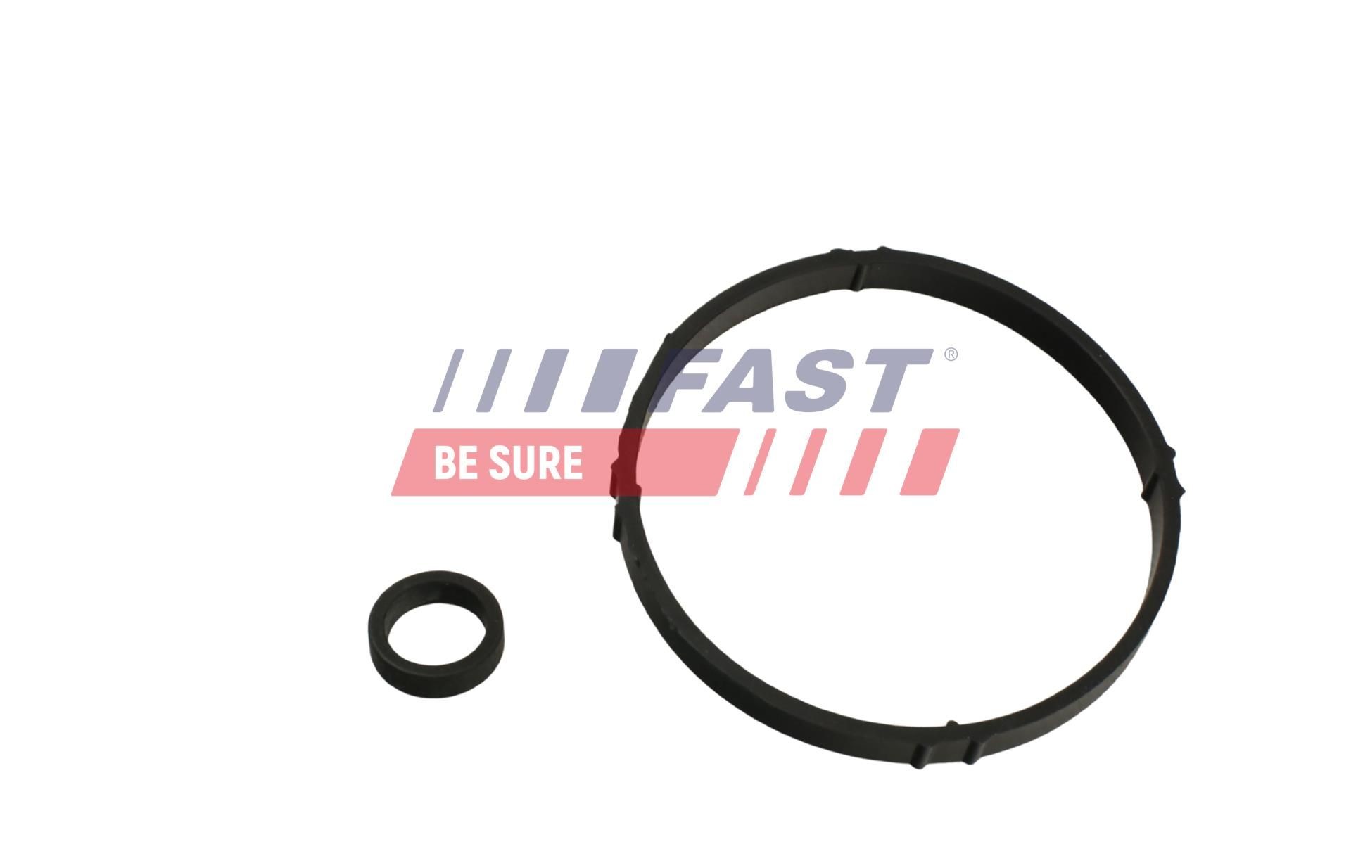 FAST Pakning turbo Varenummer: FT48810 billige