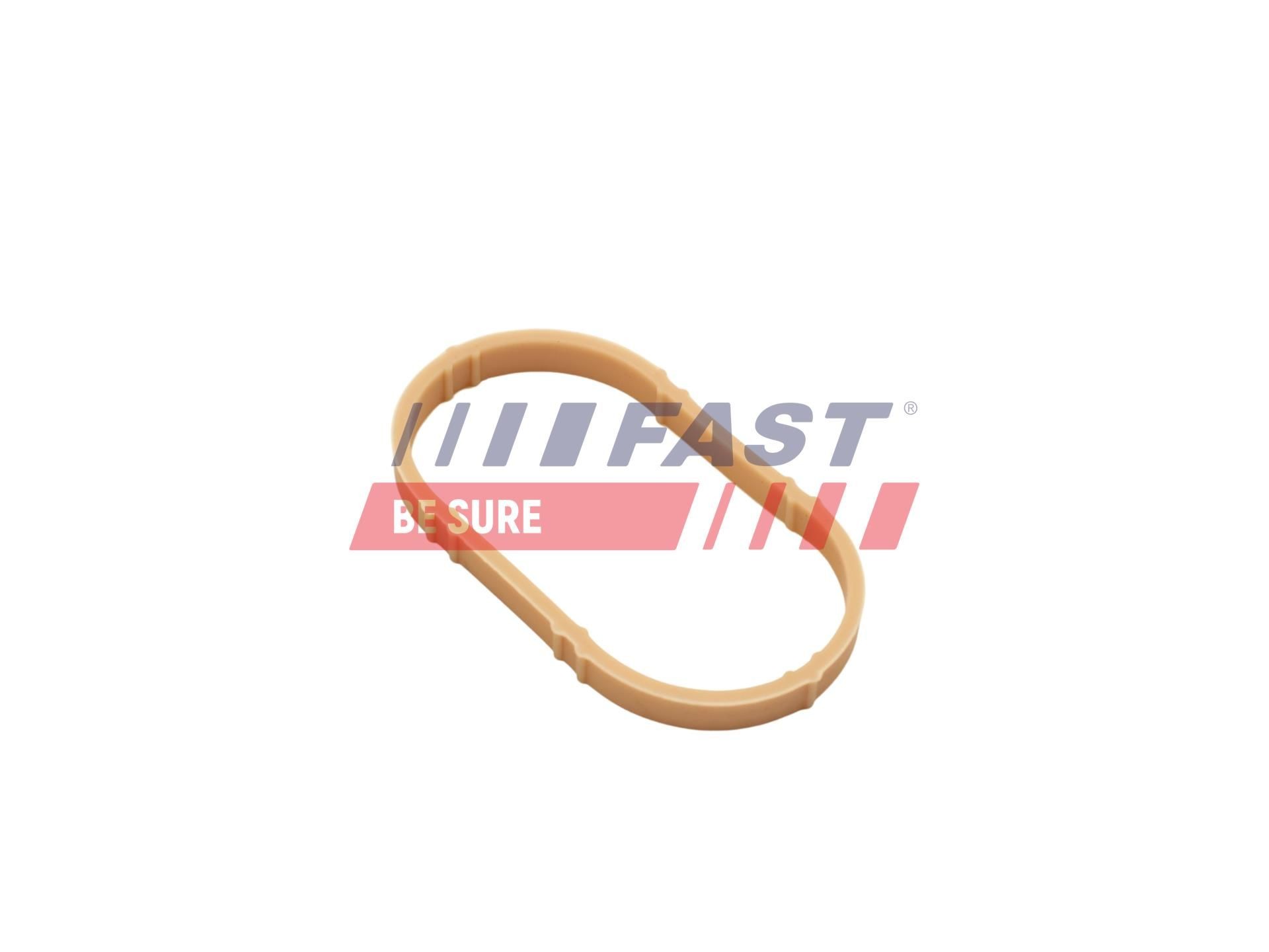 FAST Inlet manifold gasket Article number: FT49461 cheaply