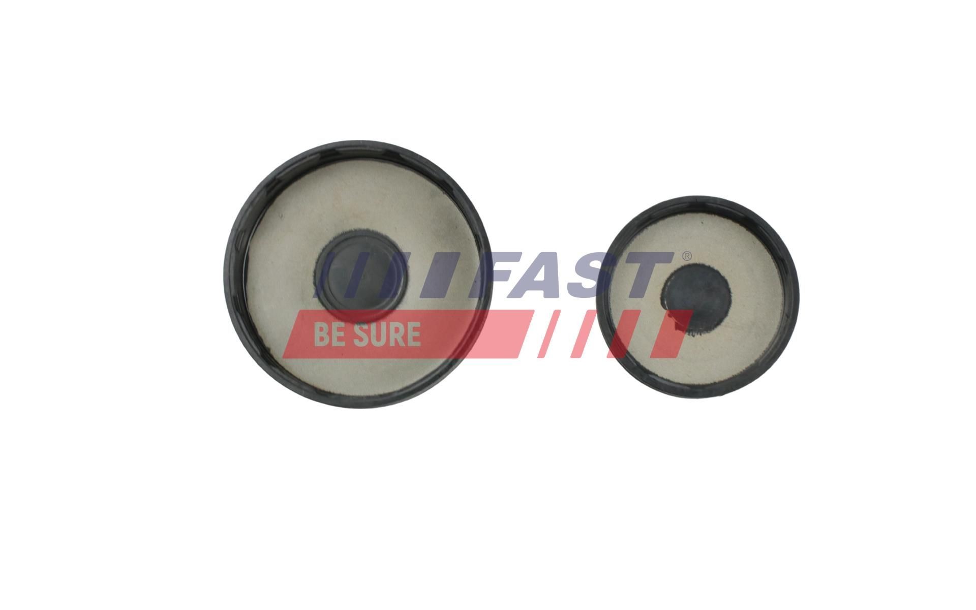 FAST FT51769 Μπιέλα TRANSIT 2.0 EcoBlue 160 PS Πετρέλαιο