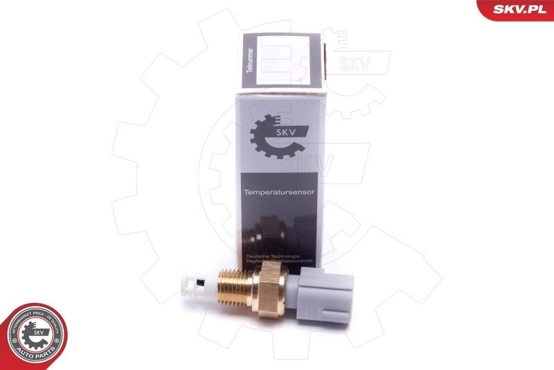 ESEN SKV Sender Unit, intake air temperature Article number: 17SKV684 cheaply