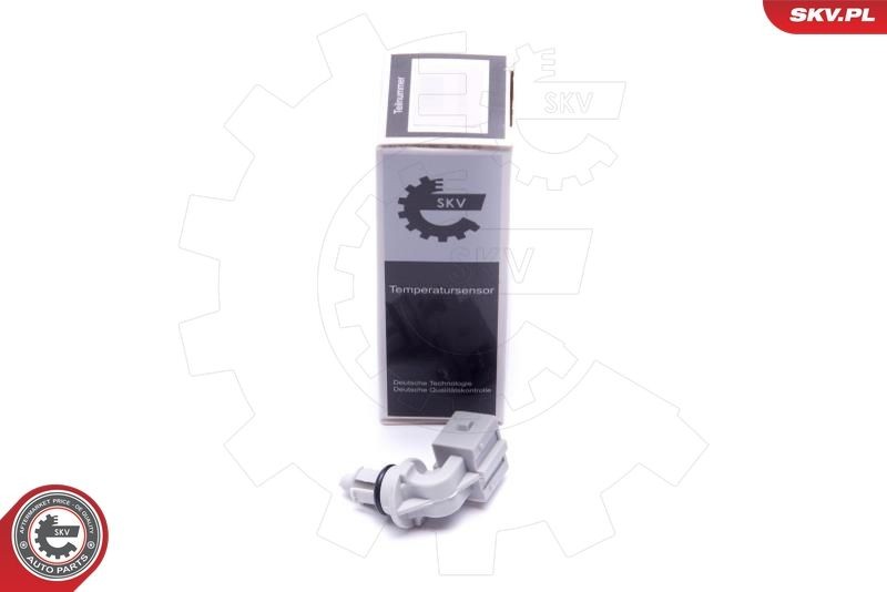ESEN SKV Sensor, indsugningstemp. Varenummer: 17SKV693 billige