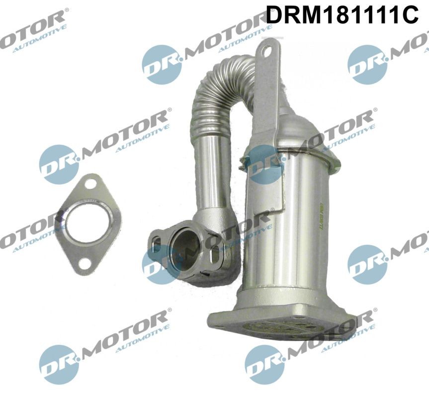 DR.MOTOR AUTOMOTIVE DRM181111C EGR-jahuti MODUS 1.5 dCi 106 HP Diisel