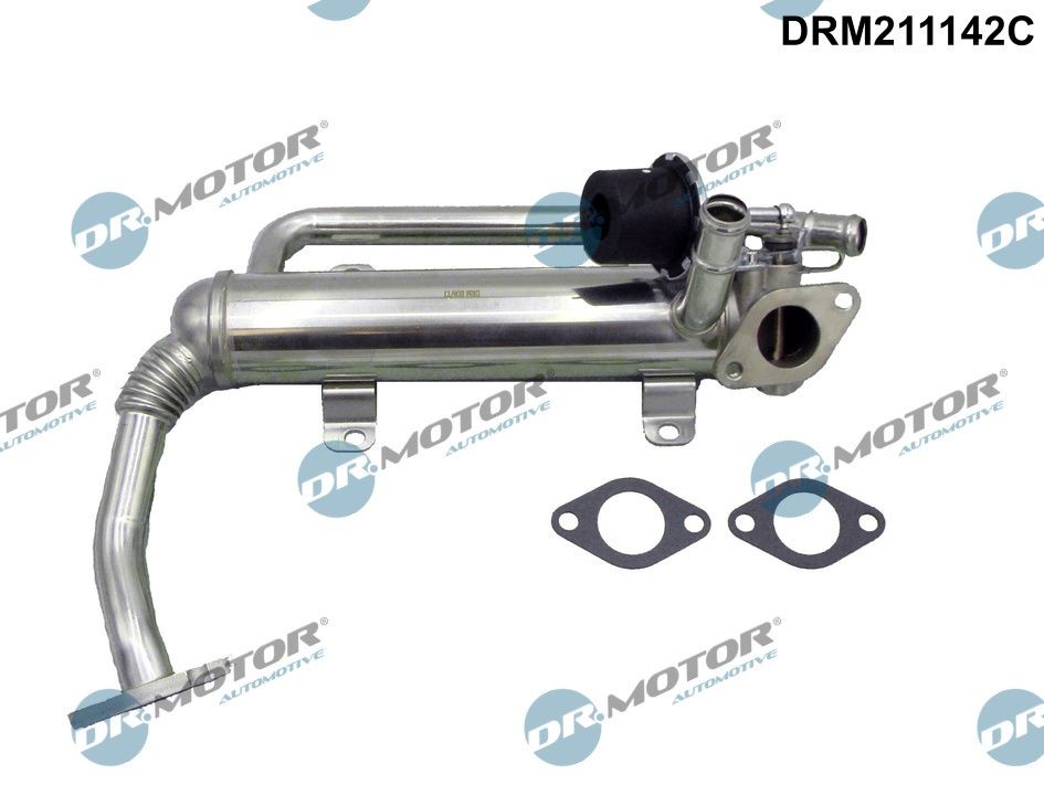 DR.MOTOR AUTOMOTIVE DRM211142C EGR-jahuti PASSAT 2.0 TDI 140 HP Diisel 2011