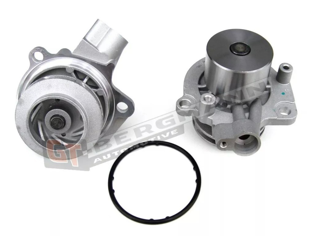GT-BERGMANN Veepump Artikli number: GT16-002 soodsalt