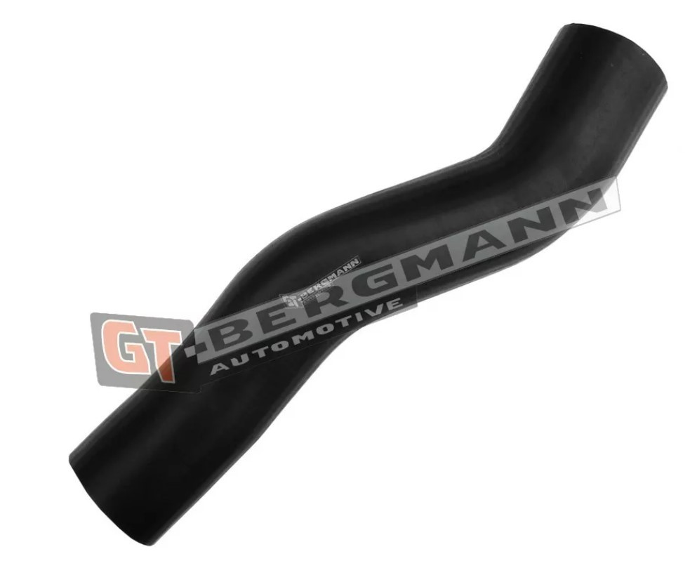 GT-BERGMANN Charger intake hose Article number: GT52-561 cheaply