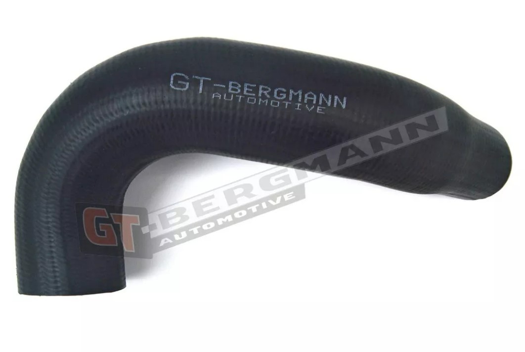 GT-BERGMANN Ladeluftslange Varenummer: GT55351862 billige