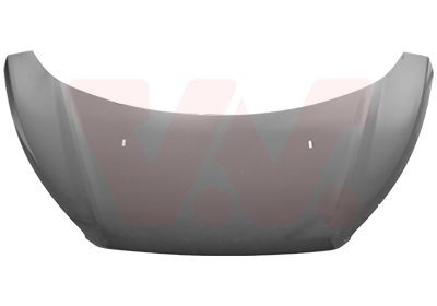 VAN WEZEL Bonnet Article number: 1989660 cheaply