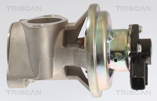 TRISCAN EGR-klapp Artikli number: 8813 42003 soodsalt