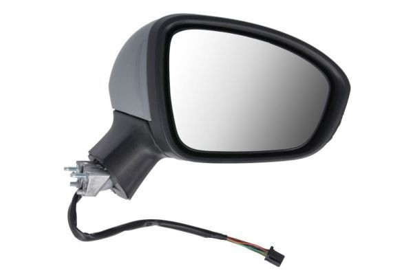 BLIC Wing mirror Article number: 5402-09-2313311P cheaply