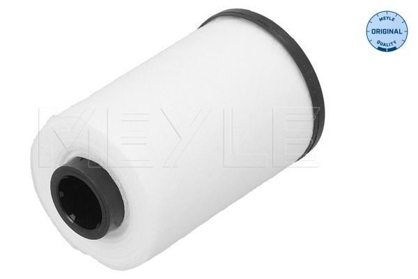 MEYLE Automatic transmission filter Article number: 100 136 0013 cheaply
